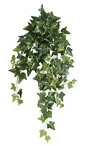 Lierre anglais chute artificiel h.80 cm