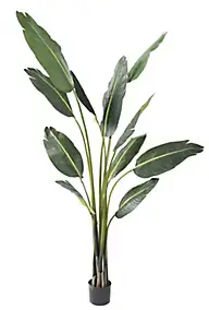 Travellers Palm tree artificiel h.195 cm