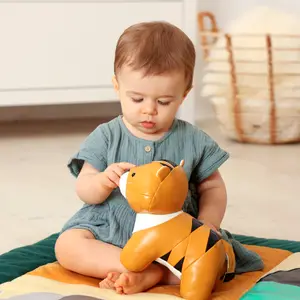 Tim le Tigre Les Animaux Musicaux