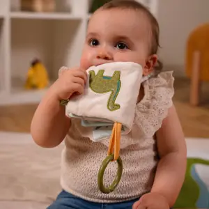 Livre en tissu bébé Les Amis Dinos