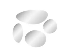 4 miroirs ovales, différents formats, Echo Mpglass