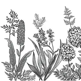 Crédence de cuisine auto-adhésive Caméléo design champ fleuri noir et blanc l. 200 cm x H. 40 cm x ép. 0,2 mm