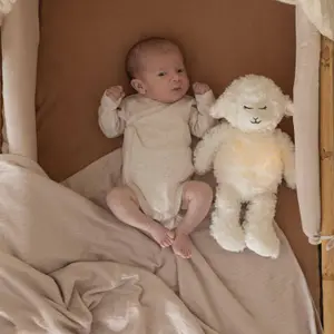 Lot de 2 bodies Blés (3 mois)