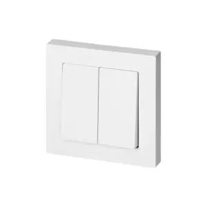 Interrupteur Double Encastré 10A 250V + Plaque de Finition Simple - Blanc