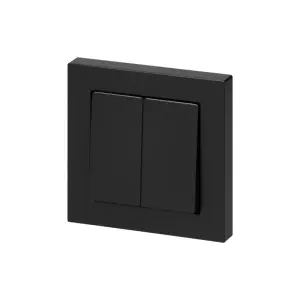 Interrupteur Double Encastré 10A 250V + Plaque de Finition Simple - Noir