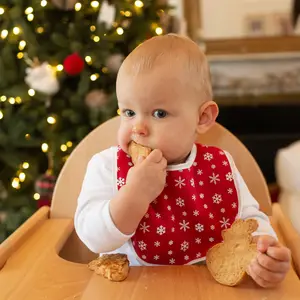 Lot de 2 bavoirs premier âge Noël