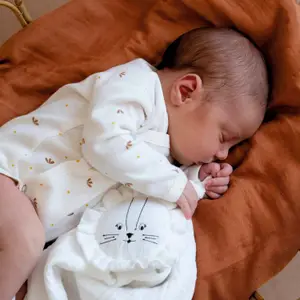 Lot de 2 bodies Mini Nous (prématuré)