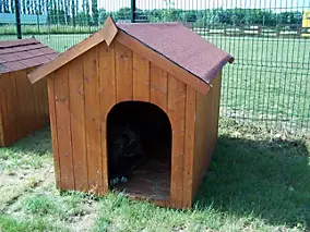 Niche à chien 1,17m² en bois avec toit bitumé et plancher Habrita