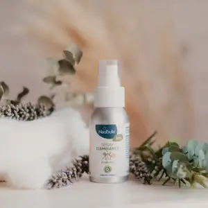 Spray d'ambiance Hiver purifie l'air (50 ml)