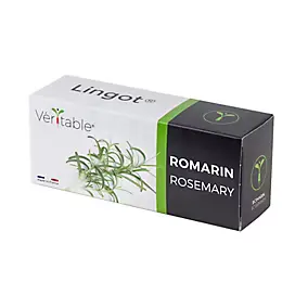 Lingot® Romarin pour potager Véritable®