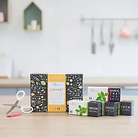 Coffret Lingot® pour potager d'intérieur Véritable® variété "Thym, Origan, Sauge et Basilic Thaï bio" plantation toute l'année