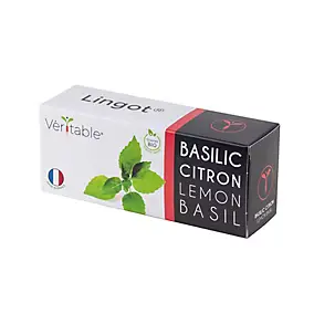 Lingot® Basilic citron Bio pour potager Véritable®