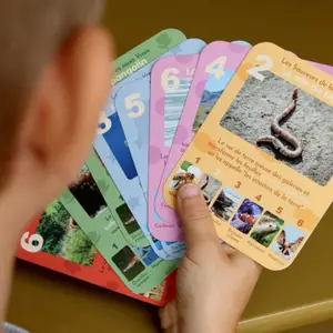 Jeu de 7 familles Animaux Rigolos