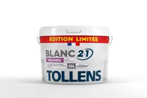 Peinture intérieure murs et plafonds 2 en 1 blanc velours 10 L