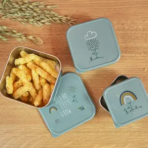 Lot de 3 boîtes à goûter Garden Explorer