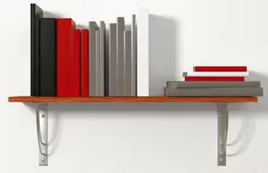 Chevilles à expansion en nylon D10mm - 300PC, idéales pour intérieur