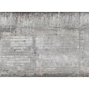 Décor mural intissé Design walls concrete wall - 5 lés