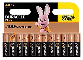 Pile alcaline AA (LR6) Duracell Plus, lot de 12