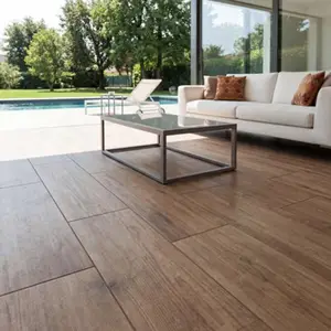 Carrelage de sol extérieur "Norwegio" marron clair - l. 30 x L. 60 cm