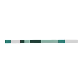 Listel Salerna vert 2 x 40 cm grés cérame émaillé