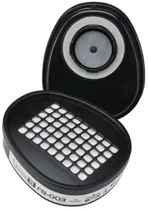 Lot de 2 filtres pour masque respiratoire
