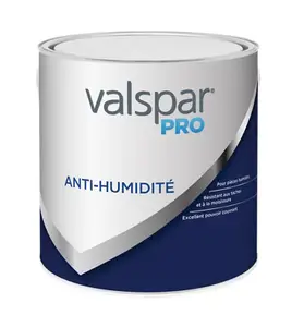 Peinture cuisine & salle de bain anti humidité 2,5 L