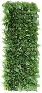 Treillis feuilles extensible 1x2 m
