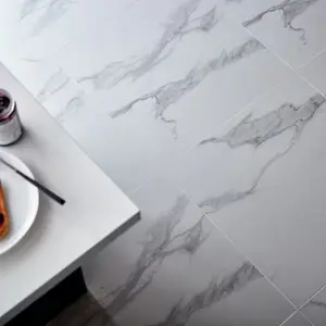 Carrelage de sol intérieur "Ultimate marble" blanc - l. 59,5 x L. 59,5 cm