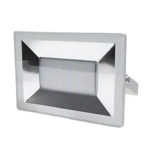 Projecteur "Weyburn" 30w 2400 lm sans détection - Blanc