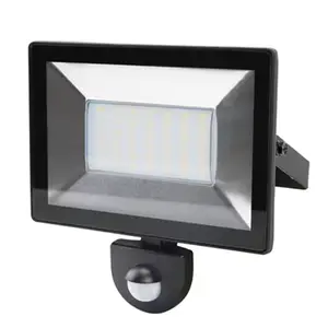 Projecteur "Weyburn" 30W à détecteur - Noir
