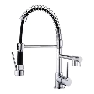 Mitigeur évier pro douchette "Larentia"