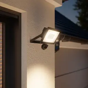 Projecteur à détection de mouvements Lucano IP65 30 W - Noir