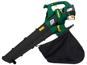 Aspirateur souffleur
