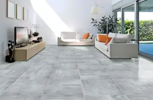 Carrelage de sol intérieur "Filadelphia" gris - l. 60 x L. 60 cm