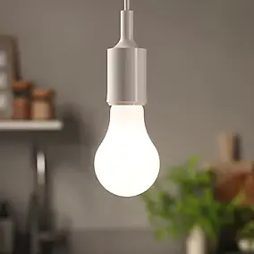 Ampoule LED à filament dépolie GLS E27 1521lm 10.5W = 100W Ø7cm IPX4 Diall blanc neutre dimmable