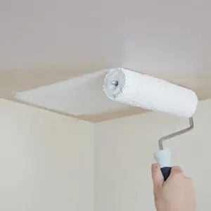 Peinture Blanche intérieure plafonds Mat 2,5 L
