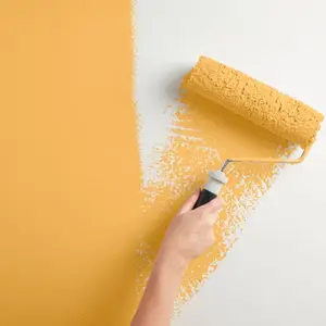 Peinture mur intérieur Mat 0,75 L Jaune d'or