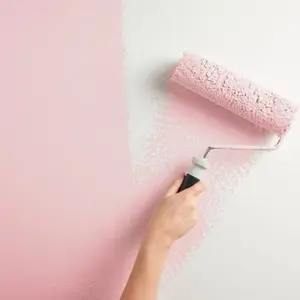 Peinture mur intérieur Mat 0,75 L Rose pétale