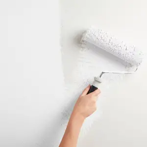 Peinture mur intérieur Mat 0,75 L Blanc pur
