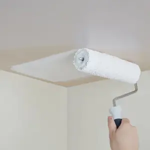 Peinture Blanche intérieure plafonds Mat 5 L