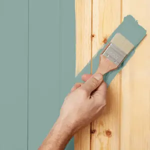 Peinture extérieur satin multi supports 0,75 L eucalyptus