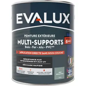 Peinture extérieure Satin multi supports 2,5 L eucalyptus