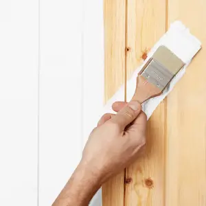 Peinture extérieure Satin multi supports 0,75 L blanc