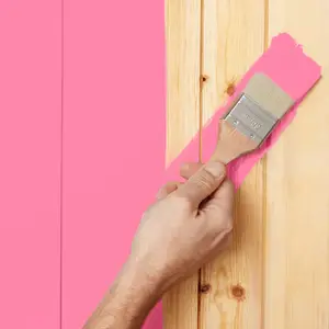 Peinture extérieure Satin multi supports 2,5 L bruyère