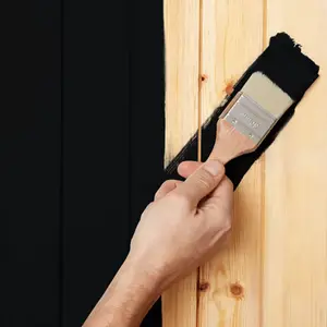 Peinture extérieure bois 0,75 L noir satin