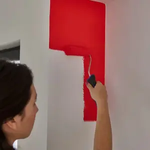 Mini rouleau murs et plafonds 100 mm