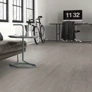 Carrelage de sol intérieur "La paz" gris - l. 31 x L. 62 cm