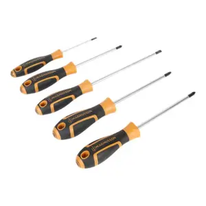 Lot de 5 tournevis en acier, embouts mixtes