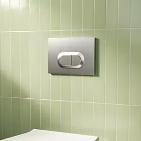 Plaque de chasse d'eau chrome mat GoodHome