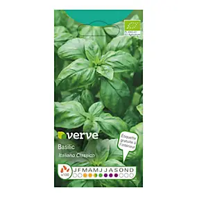 Graines de basilic bio variété "Italiano Classico" Verve semis de mars à mai